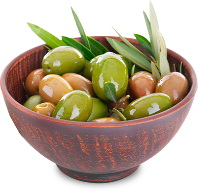 Nuestros Productos
